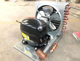 상업적 얼음 저장 용기 실내 100 Cu를 냉각시키는 팬. Ft.  이중 유리 문은 1를 타이핑합니다