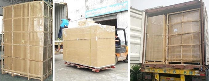 20GP 상업적 한 개의 기울어진 문 아이스 큐브 냉장고 9